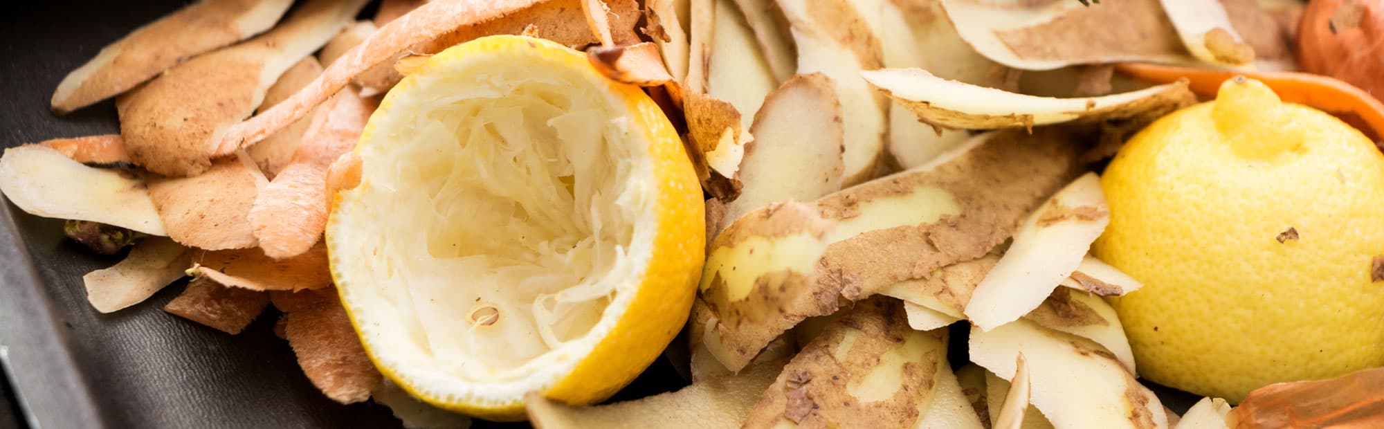 Sut i ailgylchu gwastraff bwyd